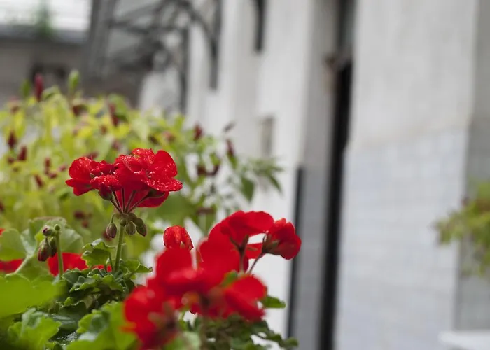 Apartman Ariel Close To St. Stephen Basilica *