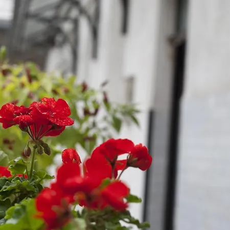 Daire Ariel Close To St. Stephen Basilica *
